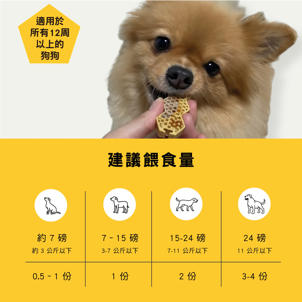【幸運貓】沛特拉醫生 蜂巢潔牙餅 狗狗潔牙餅 犬潔牙餅 鮭魚 蜂蜜 狗狗零食-細節圖4