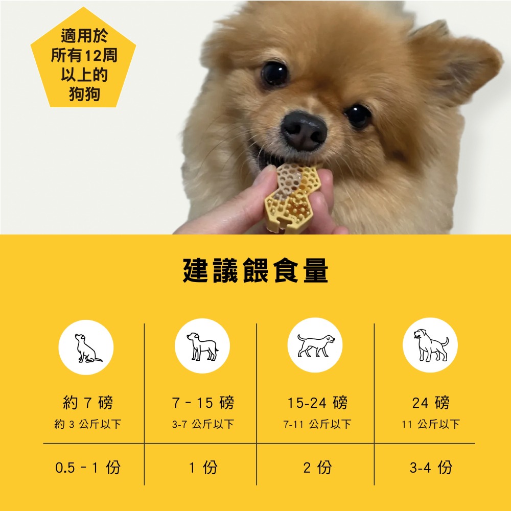 【幸運貓】沛特拉醫生 蜂巢潔牙餅 狗狗潔牙餅 犬潔牙餅 鮭魚 蜂蜜 狗狗零食-細節圖4