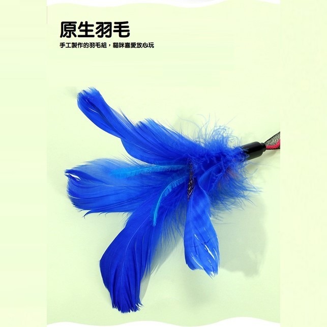 【幸運貓】多款逗貓棒 貓咪逗貓棒 寵物逗貓棒-細節圖3