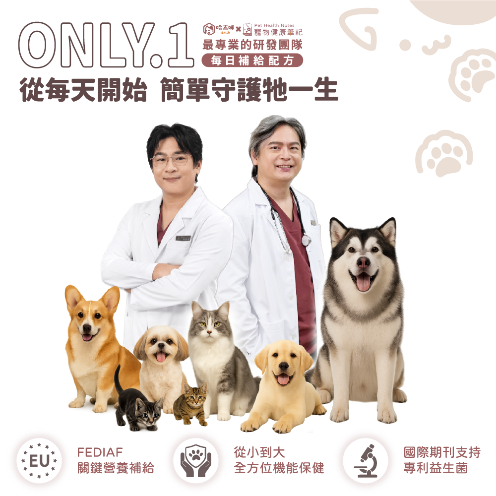 【幸運貓】 哈吉咪 寵物每日補給 幼犬幼貓 成犬成貓 熟齡犬熟齡貓 （30條 / 盒） 福犬 福貓 寵物保健 狗狗保健-細節圖2