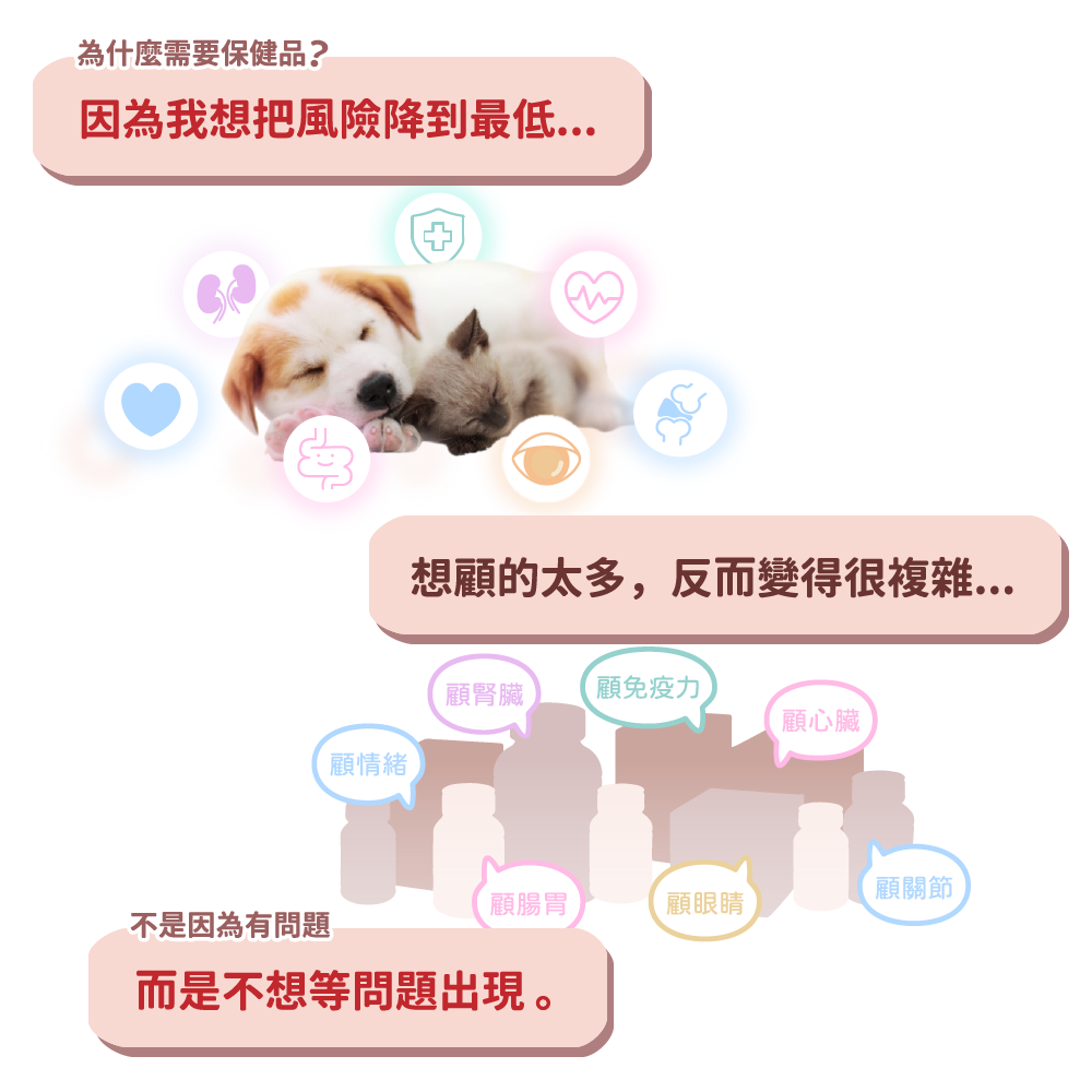 【幸運貓】 哈吉咪 寵物每日補給 幼犬幼貓 成犬成貓 熟齡犬熟齡貓 （30條 / 盒） 福犬 福貓 寵物保健 狗狗保健-細節圖4