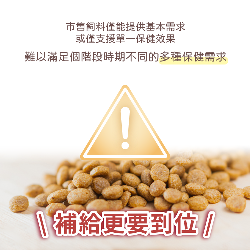 【幸運貓】 哈吉咪 寵物每日補給 幼犬幼貓 成犬成貓 熟齡犬熟齡貓 （30條 / 盒） 福犬 福貓 寵物保健 狗狗保健-細節圖6