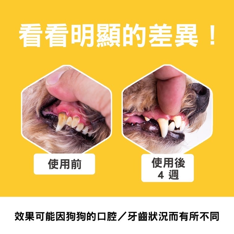 【優惠組合】沛特拉 狗狗蜂巢潔牙骨+飛飛寵物零食(任選搭配)-細節圖7