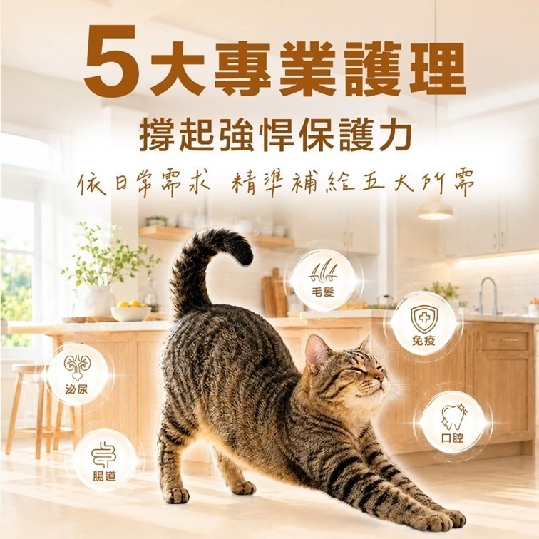 限時買2送1【幸運貓】 ParkCat 無敵貓糧 無敵補主食餐包 肉泥 鮪魚 雞肉 鮭魚 鮪魚 貓樂園-細節圖9