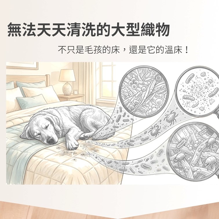 限時優惠中【幸運貓】 毛毛咪呀 寵物除臭抗菌噴霧 貓貓除臭抗菌噴霧 寵物抗菌噴霧-細節圖3