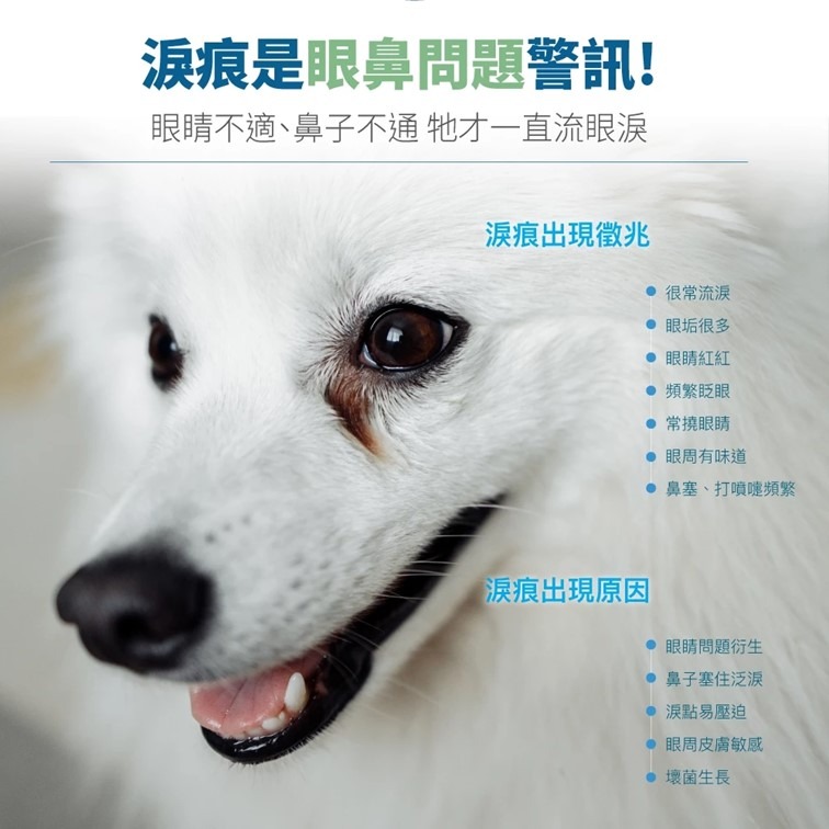 【幸運貓】 木入森 犬寶痕淨白 (30顆)｜狗狗眼睛保健食品｜葉黃素 蝦紅素｜針對狗狗流眼淚 寵物葉黃素-細節圖2