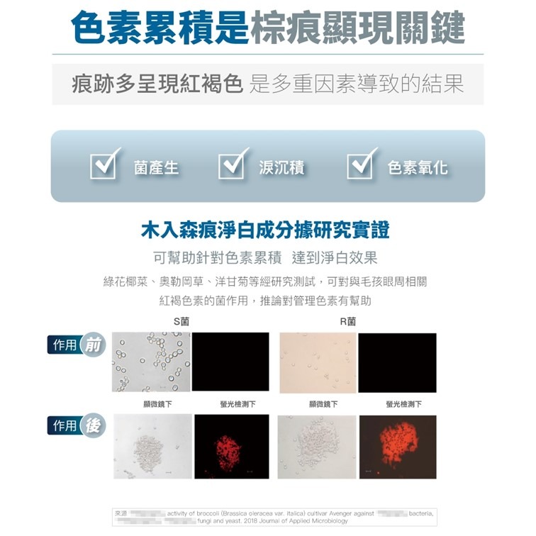 【幸運貓】 木入森 貓咪痕淨白 (30顆)｜貓咪眼睛保健食品｜金盞花 離胺酸｜針對貓流眼淚 貓淚痕-細節圖8