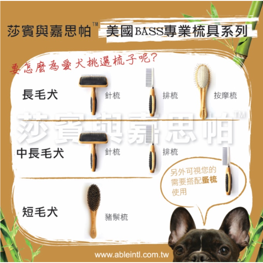 美國BASS［寵物美容用品，天然豬鬃軟毛梳，豬鬃梳，A-15］-細節圖2