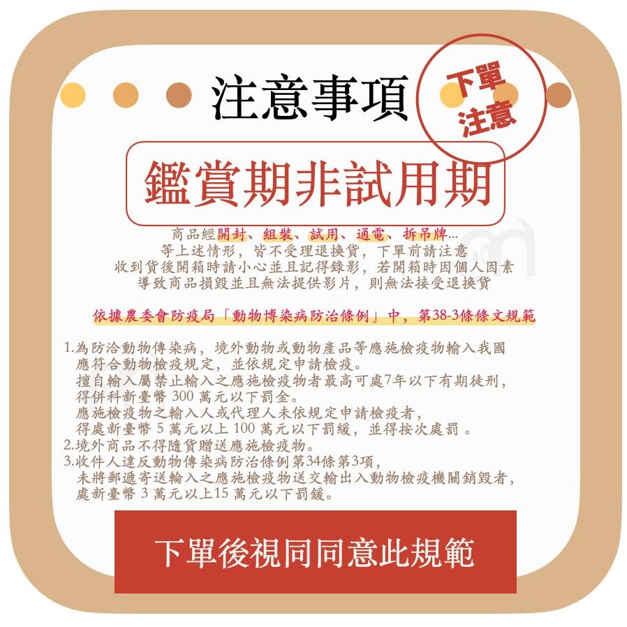 免運◤WILL WB-02 WB02外出包 系列 輕量包 透氣包 森林系 軍事風寵物「迷彩超透氣寵物包，3種顏色」-細節圖6