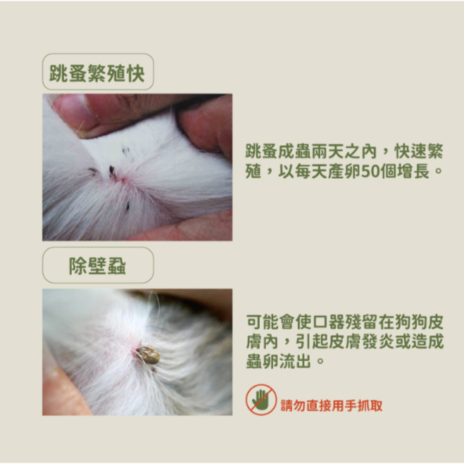 ◤蘇依沙SUISA ｜寵物 植萃防蚤蟲噴劑 200ml 對抗蚊蟲/除蟲噴劑/除蚤/除蜱/防蟲/除壁蝨 犬貓適用-細節圖4