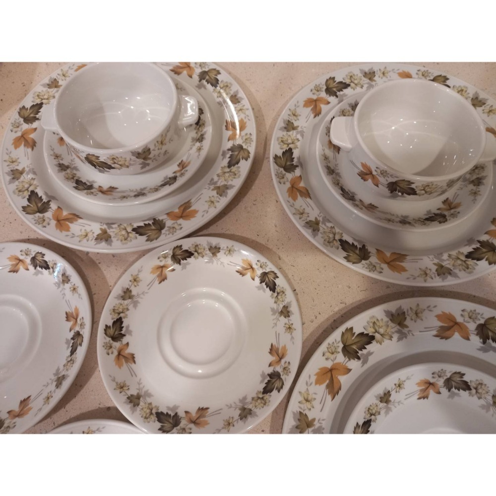 STEELITE INTERNATIONAL復古楓葉碗碟盤組(11個)-細節圖2