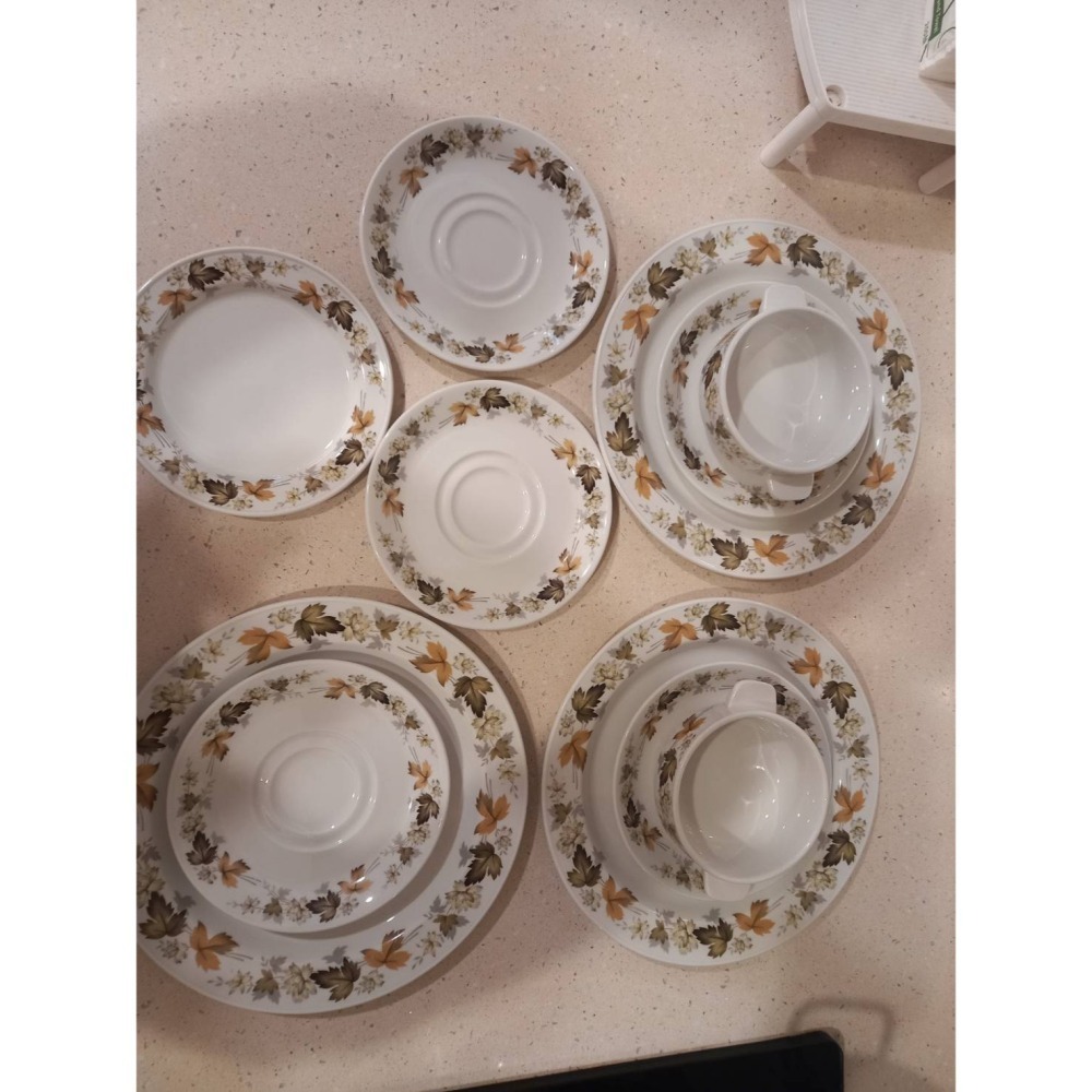 STEELITE INTERNATIONAL復古楓葉碗碟盤組(11個)-細節圖3