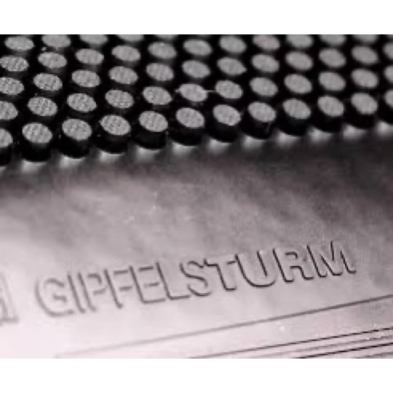 《桌球巨人》現貨歐洲進口 德國 Spinlord 怪山羊 長顆粒 Gipfelsturm 長顆粒膠皮 可用短顆打法-細節圖3