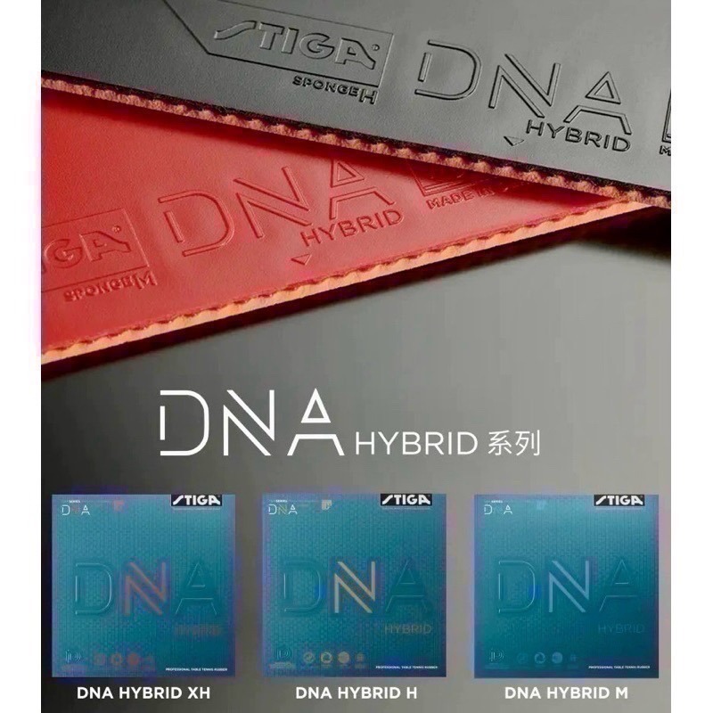《桌球巨人》現貨 德國製 STIGA DNA HYBRID M H XH 微黏性膠皮 桌球膠皮 平面膠皮-細節圖2