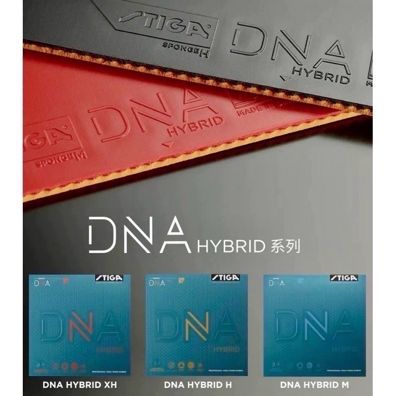 《桌球88》全新現貨 德國製 STIGA DNA HYBRID XH H M 微黏性膠皮 桌球膠皮 平面膠皮-細節圖3