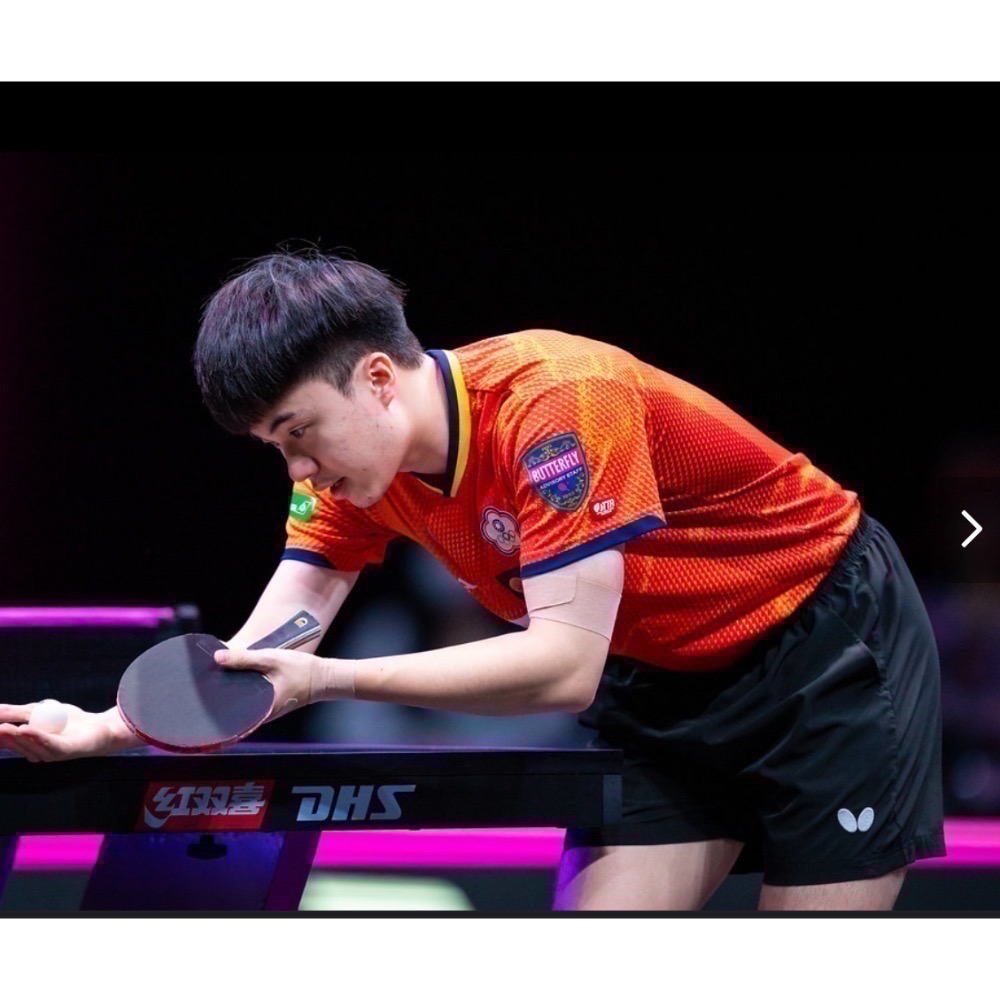 《桌球88》現貨日本製 林昀儒使用 蝴蝶 超級蝴蝶王 Butterfly VISCARIA SUPER ALC 桌球拍-細節圖7