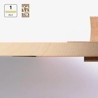 《桌球88》全新現貨 日版 BUTTERFLY 蝴蝶 Cypress V-MAX 檜單 10mm 日本製木曾檜 蝴蝶日直-細節圖3