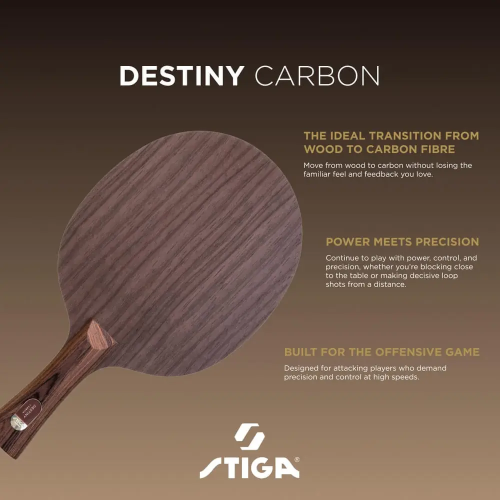《桌球88》全新歐洲進口 瑞典製 STIGA 命運碳素 Destiny Carbon Cybershape 賽博六角拍-細節圖9