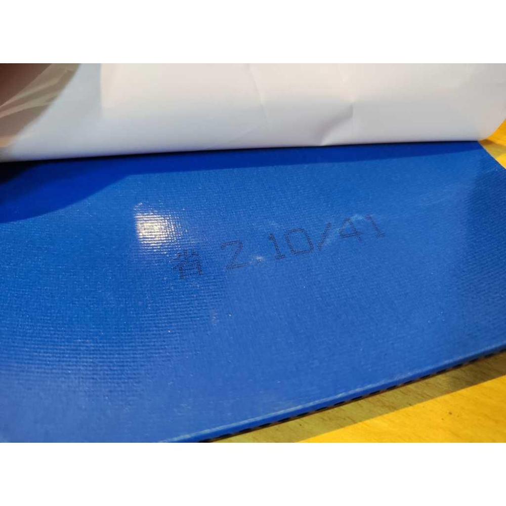 『良心桌球小舖』專業版本 NEO 尼奧 省狂 藍省 橘省 狂飆3 (供正專業隊/省隊使用)-細節圖2