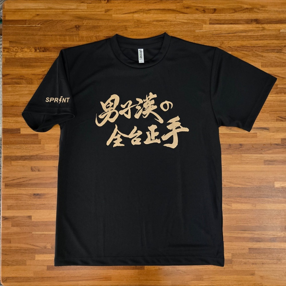 『良心桌球小舖』SPRINT 頂級桌球衣 男子漢の全台正手 台灣製造／L米金款-規格圖3
