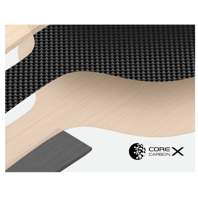 『良心桌球小舖』TMOUNT 金澤洙 HINOKI MAXX (蝴蝶普碳結構) FL-細節圖4