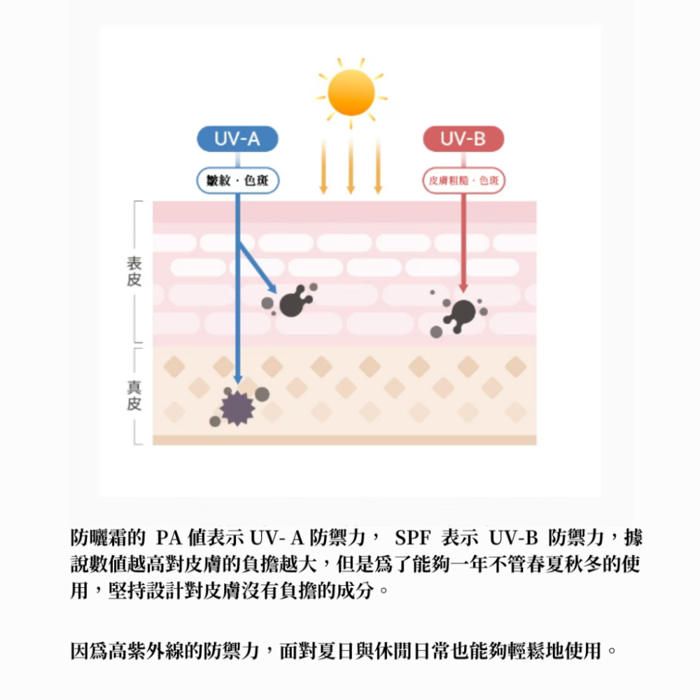 【B&A Change】✨NEW 現貨 韓國艾醫生 Dr.althea 綠茶防曬乳 吸收快速 清爽質地 敏感肌適用-細節圖5