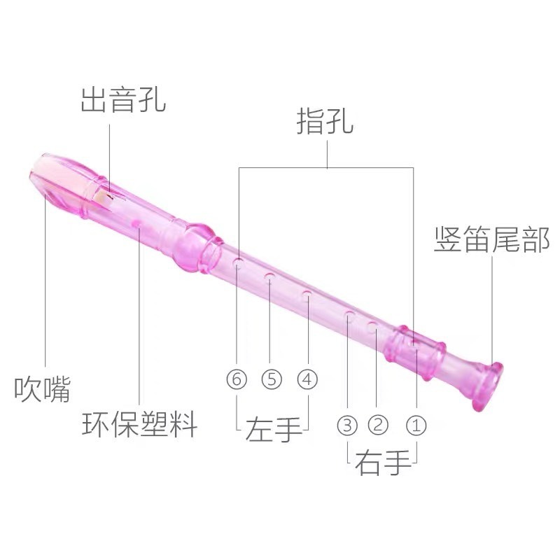 六孔豎笛 透明笛子 迷你笛子 音樂玩具 樂器玩具 吹奏音樂玩具 懷舊玩具-細節圖10