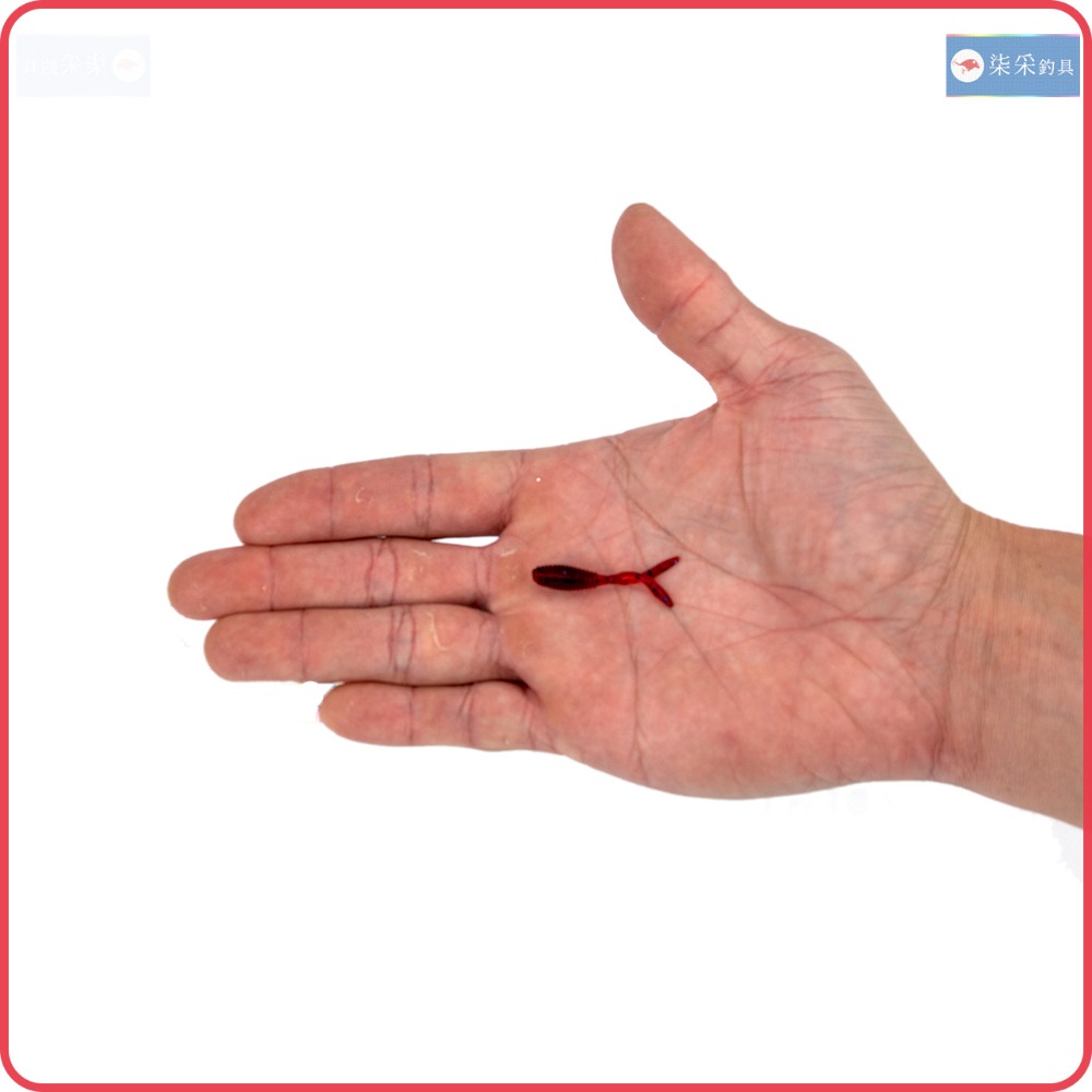 微物 雙尾 軟餌 0.4g 3.5cm 10入 柒采釣具 路亞 軟蟲 根釣 假餌 釣魚-細節圖4