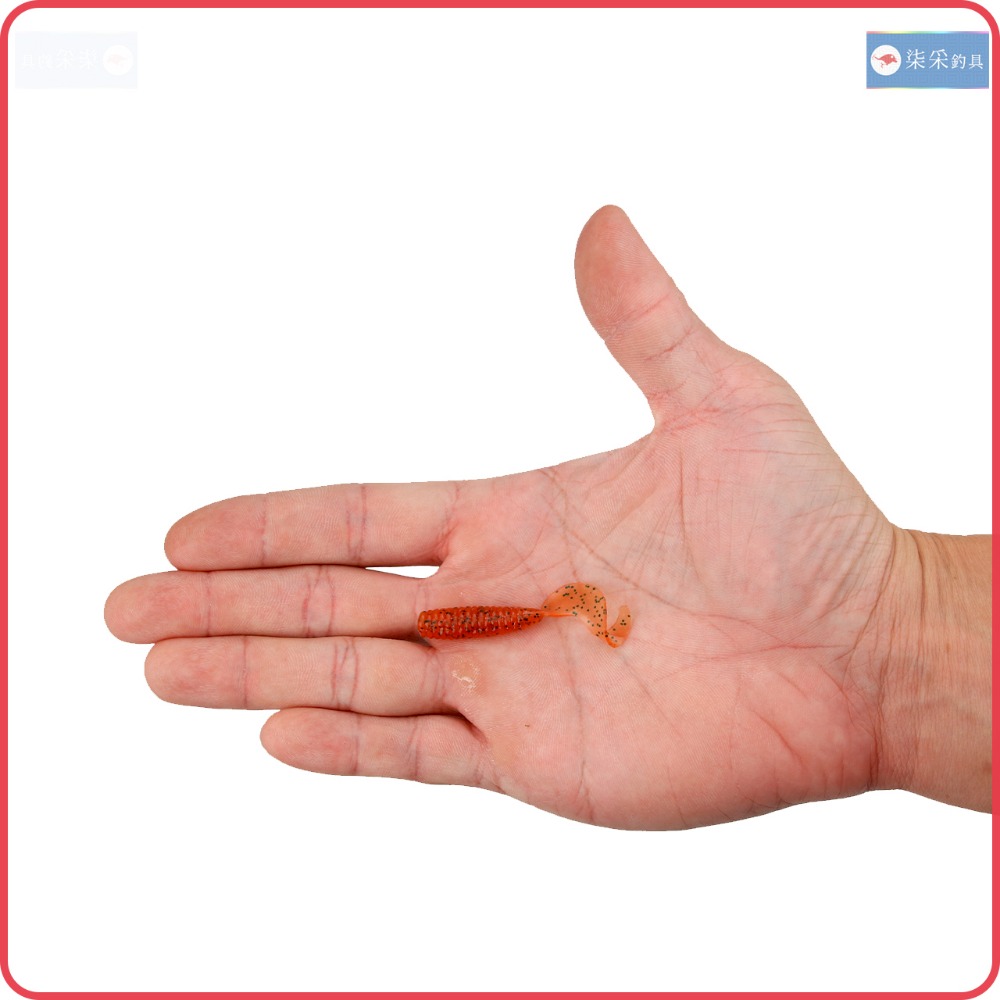 捲尾蛆 1.2g 4.5cm 12入 柒采釣具 軟餌 路亞 軟蟲 假餌 鉛頭鉤 何氏棘魞 釣魚-細節圖4