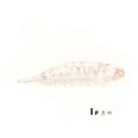 浮水 毛毛蟲 軟餌 16.5g 9cm 柒采釣具 雷蛙 多曼 雷強 假餌 軟蛙 魚虎 泰國鱧-規格圖8