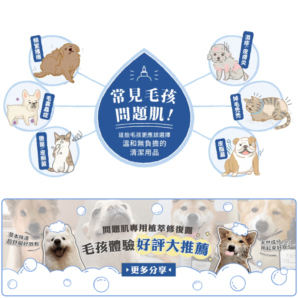 毛起來 MAOUP 植萃修復露 225ml【問題肌救星】先乾洗後加水 溫和止癢去屑 寵物洗毛精 貓狗通用 台灣製-細節圖3