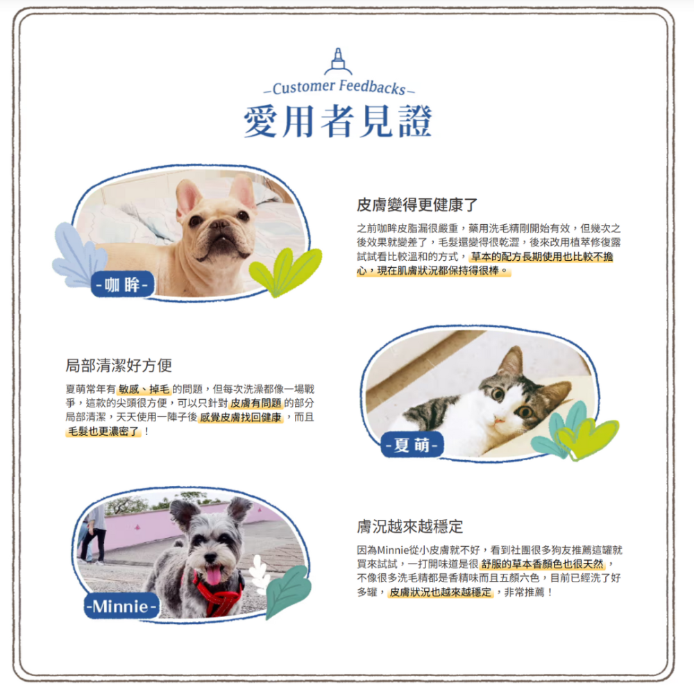 毛起來 MAOUP 植萃修復露 225ml【問題肌救星】先乾洗後加水 溫和止癢去屑 寵物洗毛精 貓狗通用 台灣製-細節圖4