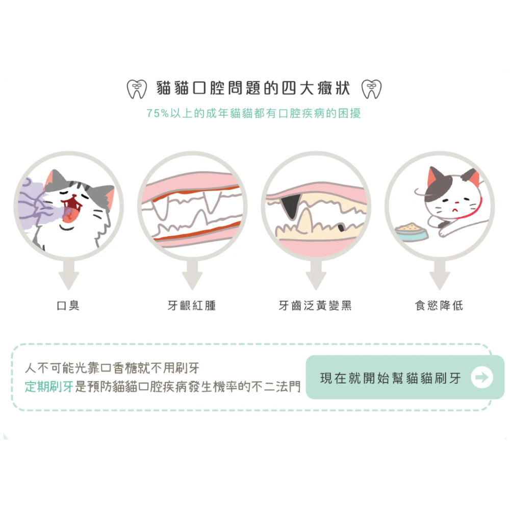 毛起來 喵口回春潔牙凝膠 75g【貓草口味+排毛配方】可食用貓牙膏 貓咪刷牙 口腔清潔 寵物潔牙 去口臭 台灣製-細節圖4