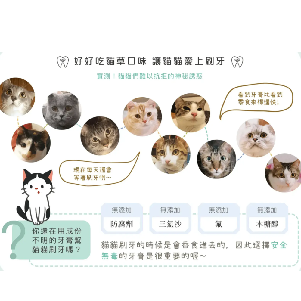 毛起來 喵口回春潔牙凝膠 75g【貓草口味+排毛配方】可食用貓牙膏 貓咪刷牙 口腔清潔 寵物潔牙 去口臭 台灣製-細節圖6