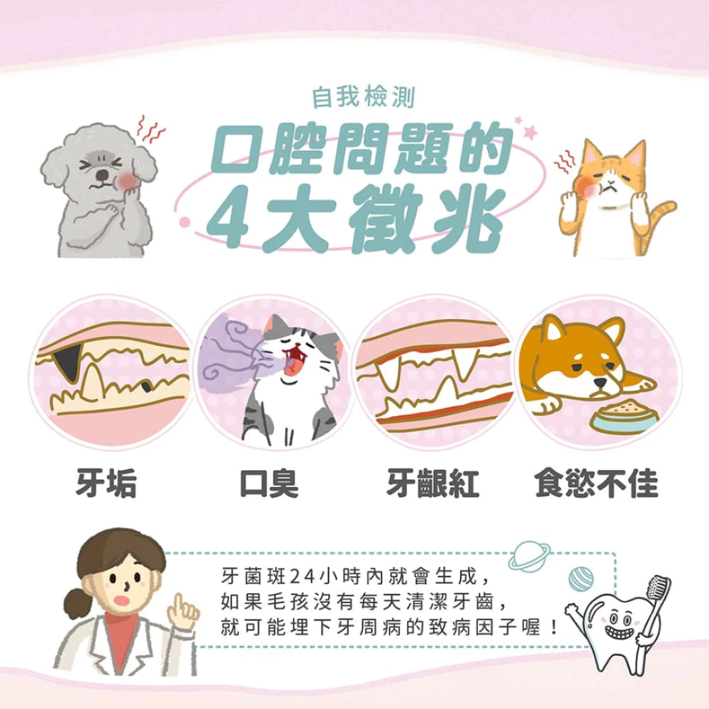 【毛起來】SHINE! 潔淨時刻寵物酵素牙膏 75g (雞肉口味/可吞食) 貓狗通用 潔牙 去口臭 牙結石救星 狗牙膏-細節圖4