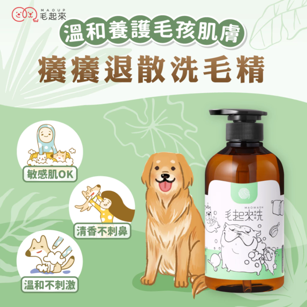 毛起來 癢癢退散洗毛精 500ml 汪汪專用【SGS認證 草本止癢】狗狗洗毛精 寵物沐浴乳 敏感肌 狗洗澡 台灣製-細節圖2
