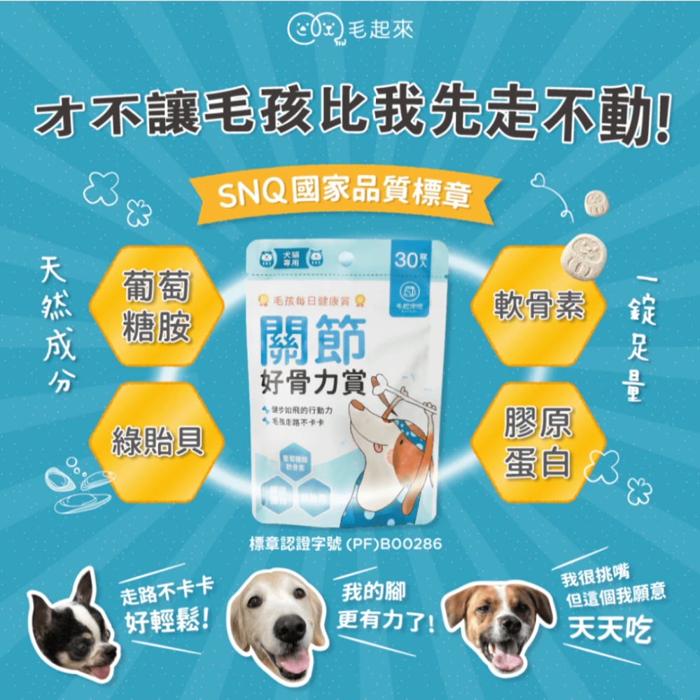 毛起來 關節好骨力賞【SNQ國家認證】30錠 寵物關節保健 綠貽貝+軟骨素 狗狗貓咪行動力 關節保養 台灣現貨-細節圖3