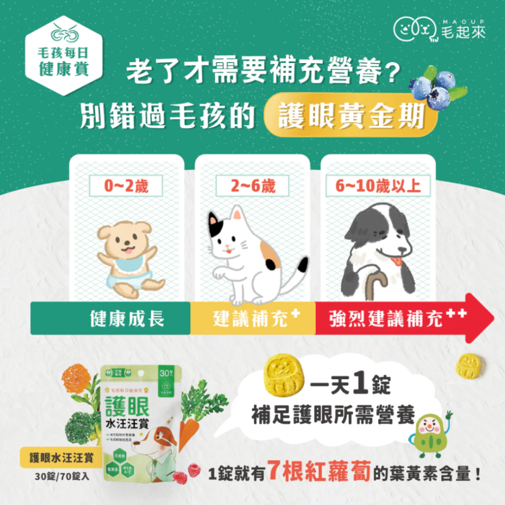 【毛起來】護眼水汪汪賞 30錠 (葉黃素+花青素) 寵物眼睛保健 狗狗貓咪視力保養 淚痕救星 SGS認證 台灣製-細節圖3