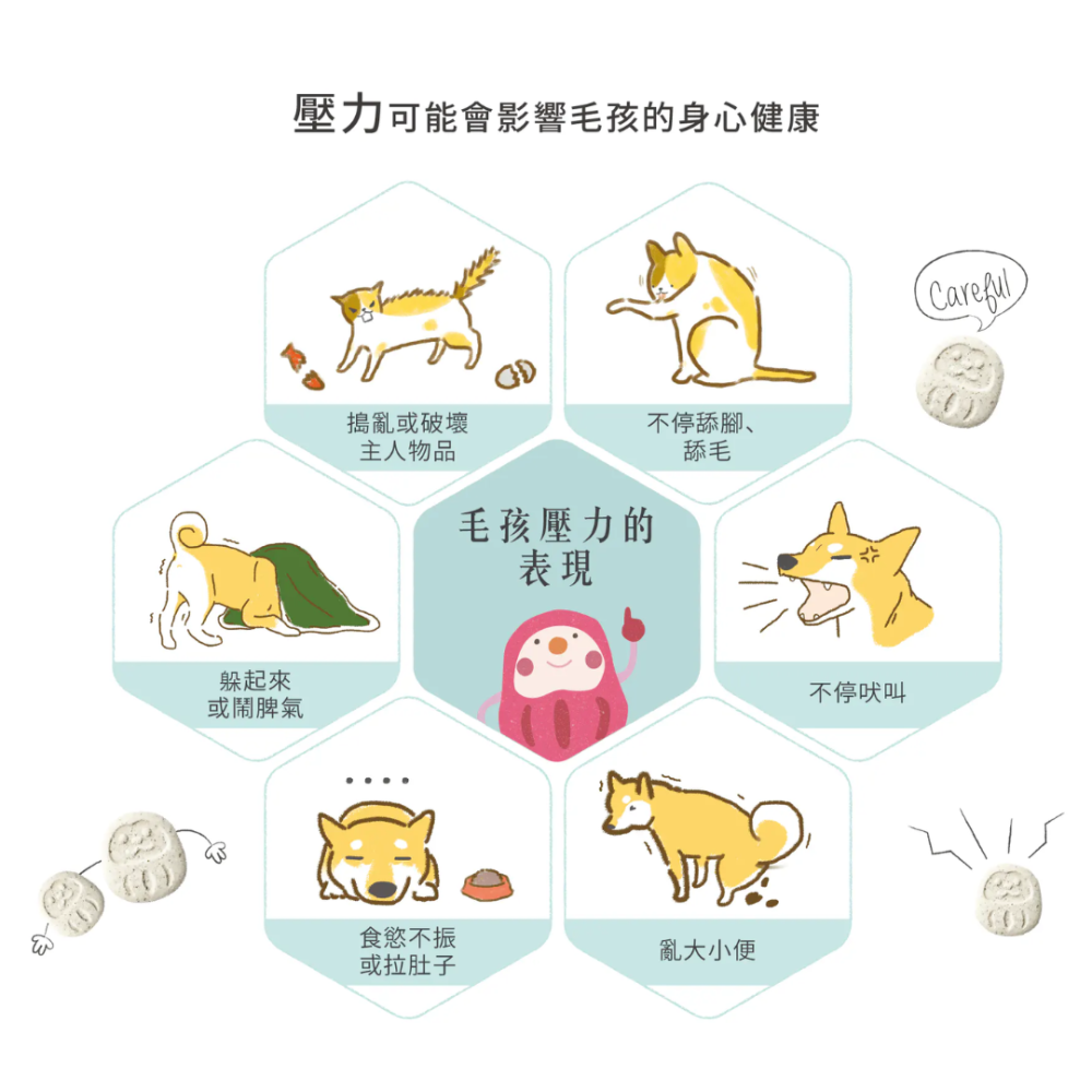 毛起來 心情好乖乖賞 30錠【舒緩分離焦慮】GABA穩定情緒 貓狗舒壓 寵物保健食品 台灣現貨-細節圖5