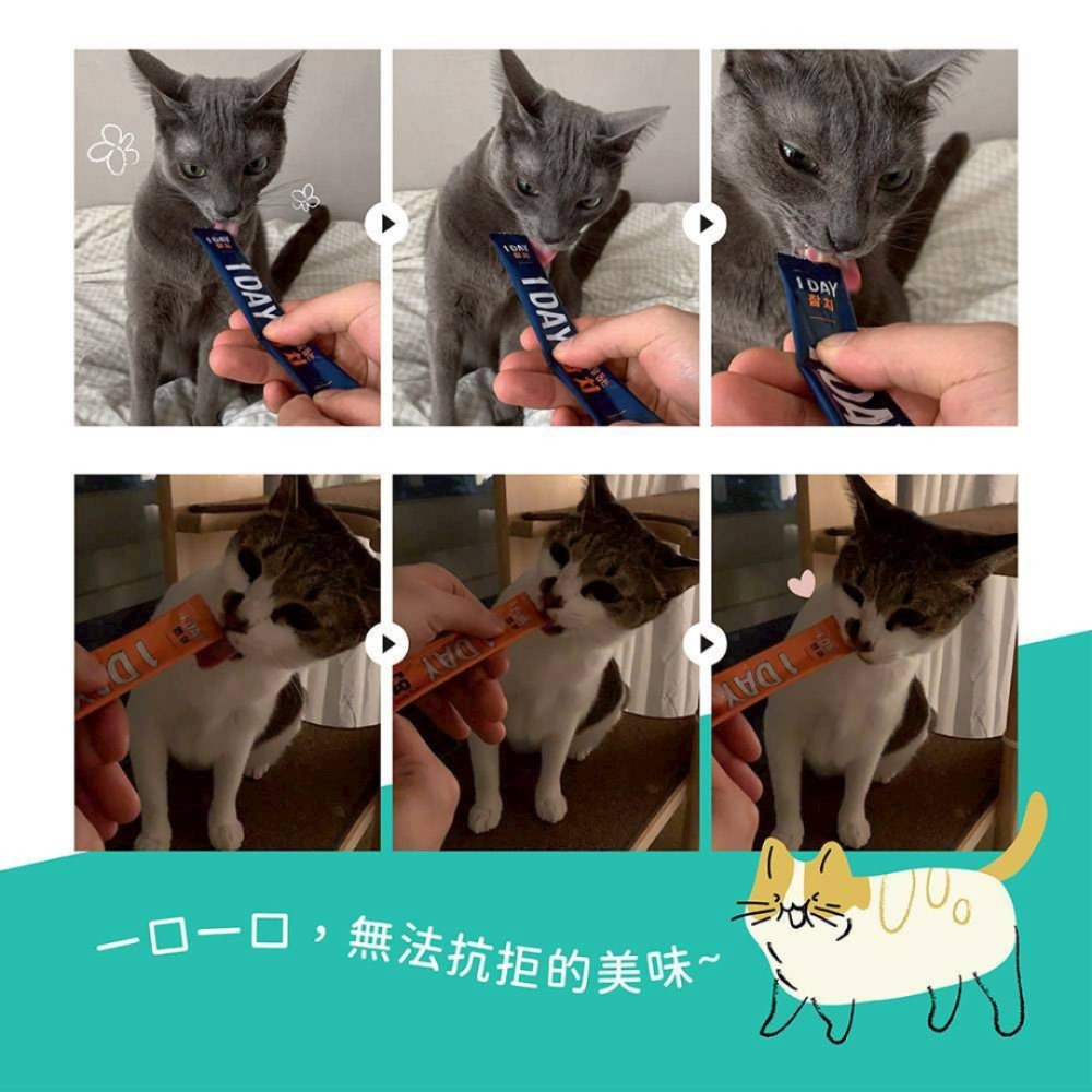 Super Chew 韓國 30DAYS 無膠天然肉泥【30入大包裝】犬貓通用 寵物零食 貓肉泥 狗點心 蔓越莓添加 低-細節圖4