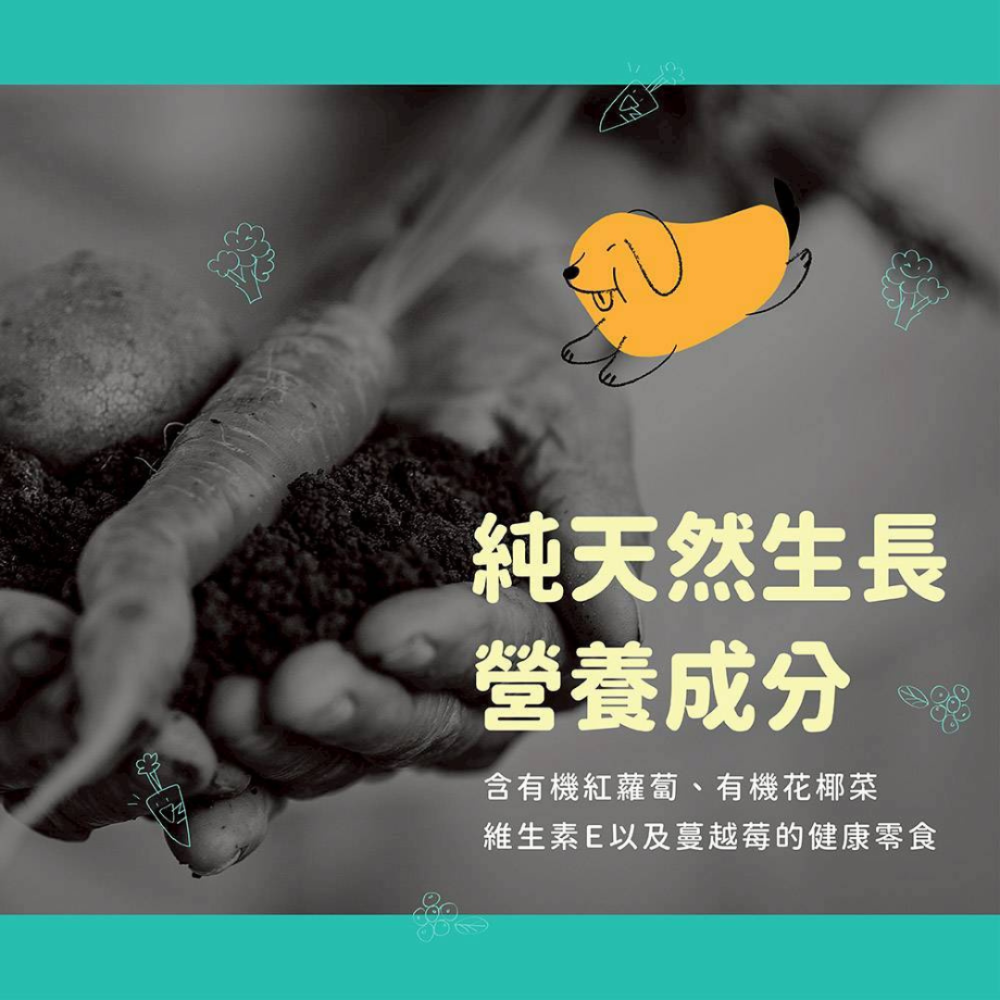 Super Chew 韓國 30DAYS 無膠天然肉泥【30入大包裝】犬貓通用 寵物零食 貓肉泥 狗點心 蔓越莓添加 低-細節圖5