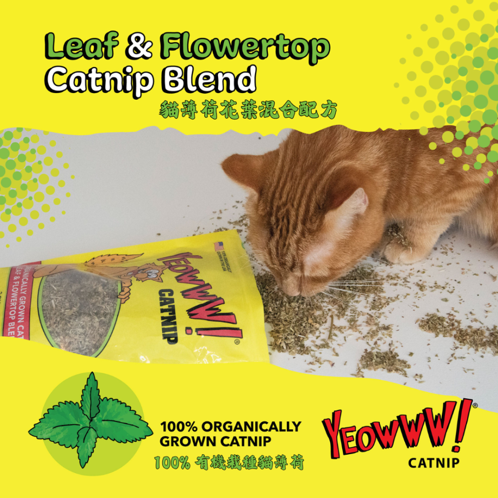 Yeowww! 美國有機貓草【貓咪瘋狂秒嗨】只取花葉 濃郁香氣 貓薄荷 紓壓 貓草包 貓玩具 4g/28g/56g-細節圖2