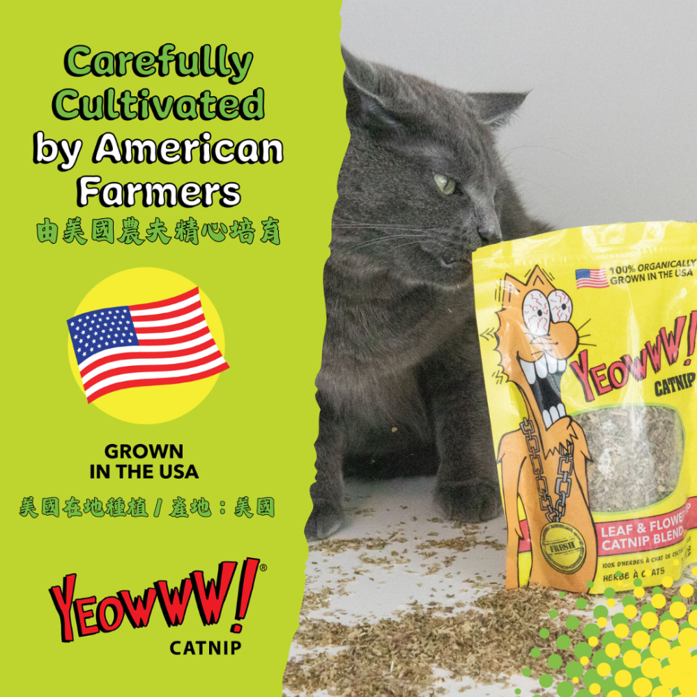 Yeowww! 美國有機貓草【貓咪瘋狂秒嗨】只取花葉 濃郁香氣 貓薄荷 紓壓 貓草包 貓玩具 4g/28g/56g-細節圖3
