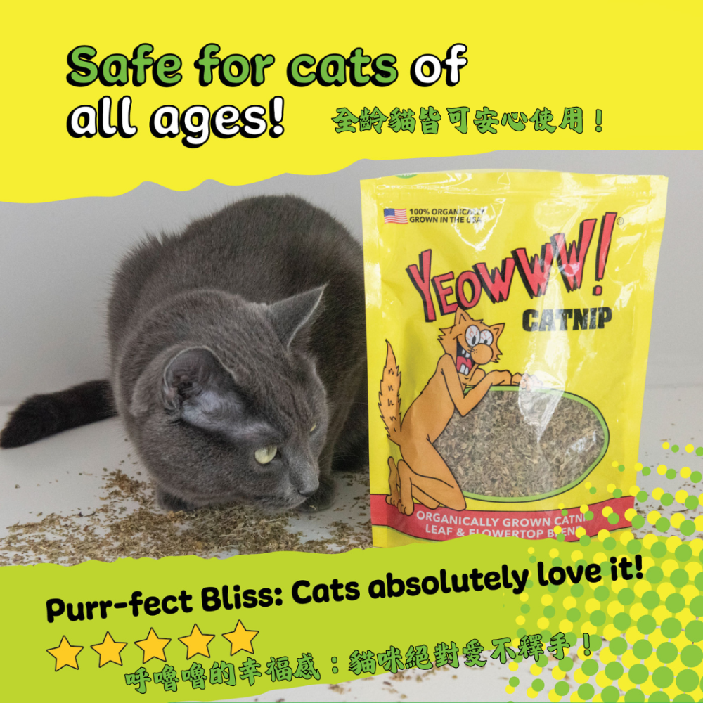 Yeowww! 美國有機貓草【貓咪瘋狂秒嗨】只取花葉 濃郁香氣 貓薄荷 紓壓 貓草包 貓玩具 4g/28g/56g-細節圖5