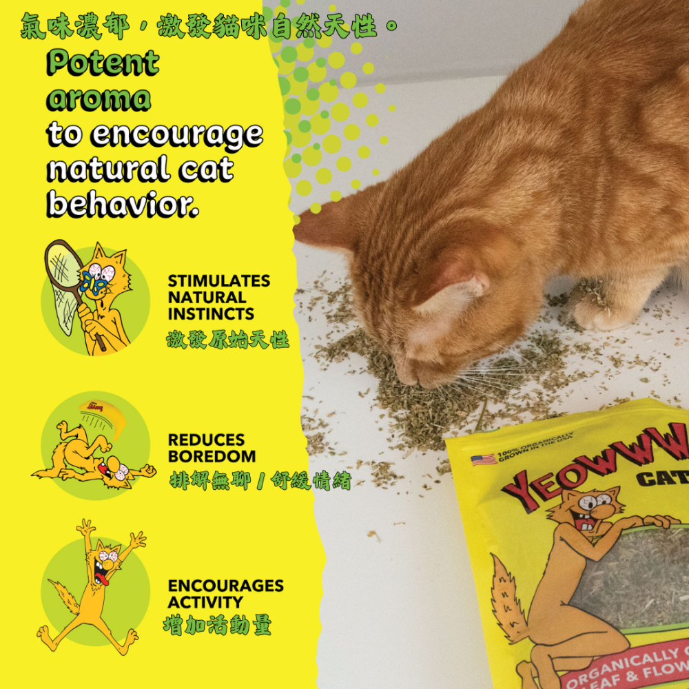 Yeowww! 美國有機貓草【貓咪瘋狂秒嗨】只取花葉 濃郁香氣 貓薄荷 紓壓 貓草包 貓玩具 4g/28g/56g-細節圖6