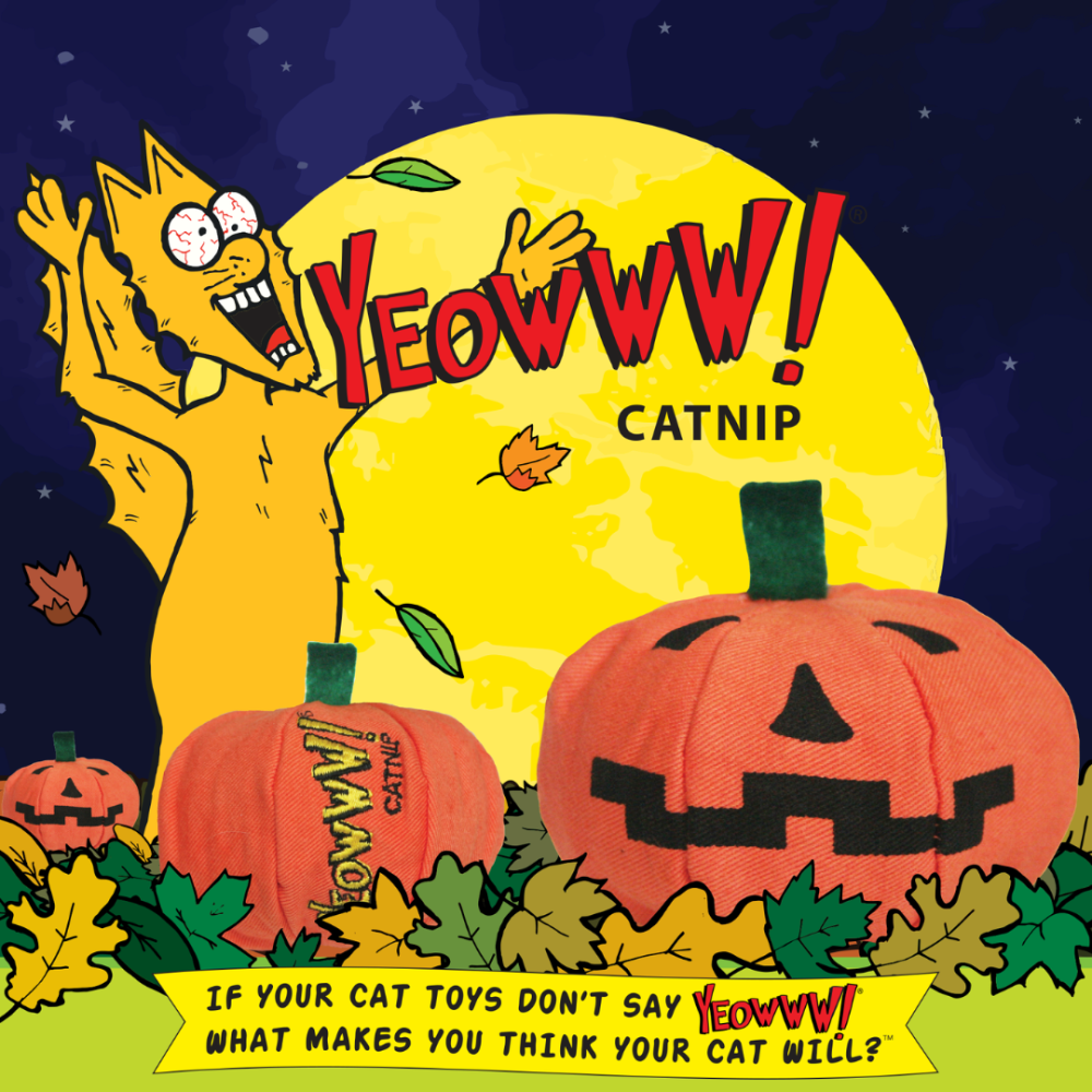 【Yeowww!】美國有機貓草南瓜 100%填充無棉花 萬聖節玩具 耐咬貓薄荷球 貓咪紓壓 潔牙 逗貓禮物-細節圖2
