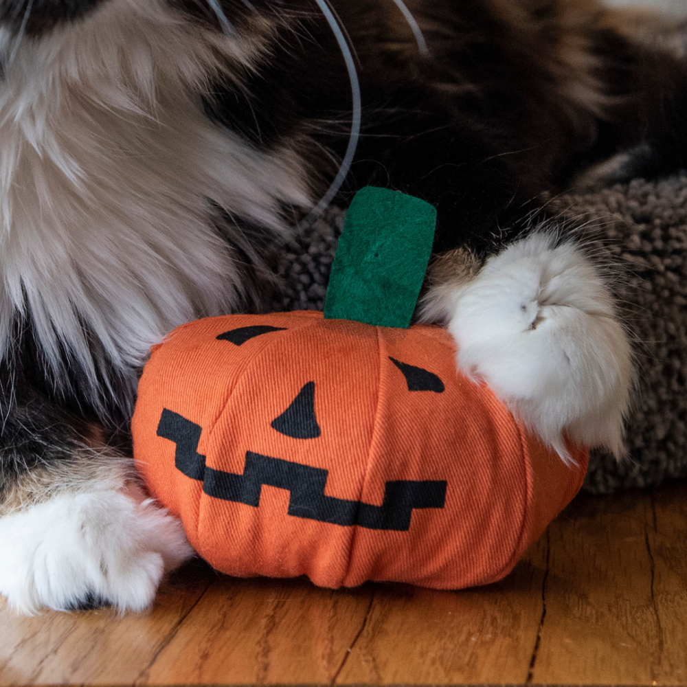 【Yeowww!】美國有機貓草南瓜 100%填充無棉花 萬聖節玩具 耐咬貓薄荷球 貓咪紓壓 潔牙 逗貓禮物-細節圖3