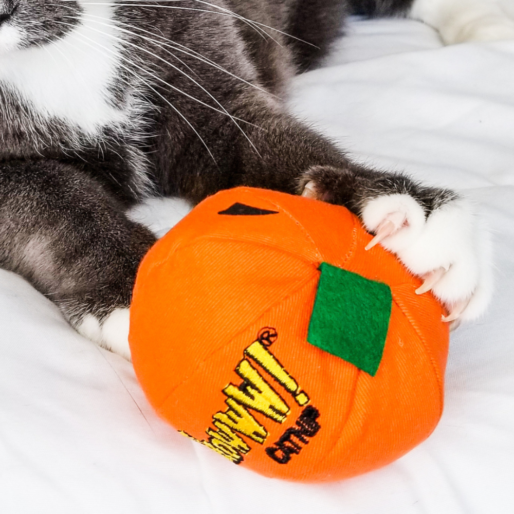 【Yeowww!】美國有機貓草南瓜 100%填充無棉花 萬聖節玩具 耐咬貓薄荷球 貓咪紓壓 潔牙 逗貓禮物-細節圖4
