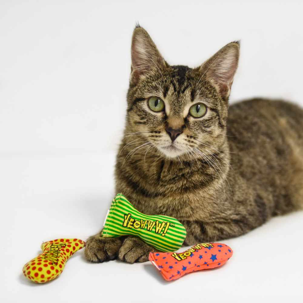 Yeowww! 美國有機貓草 小鮪魚【100%無填充棉花】沙丁魚 貓草包 踢踢包 潔牙 紓壓 寵物玩具-細節圖7