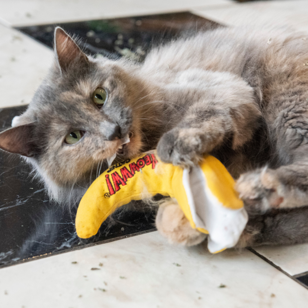 【Yeowww!】美國進口剝皮香蕉貓草玩具 (響紙升級版) 100%有機葉填充/無棉花/超耐咬/貓咪踢踢包-細節圖3